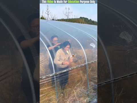 The Strongest Tape 😨| New Viral Gadgets, Smart Appliances, Kitchen Utensils/ Home Inventions