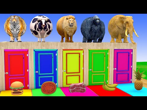 Long Slide Game with Cow Elephant Gorilla Hippopotamus Tiger 3d Animal Game Funny 3d Animals