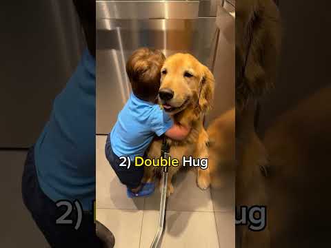 Our Baby and Dog's Top Hugs this Weeks!