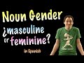 Understanding Noun Gender in Spanish