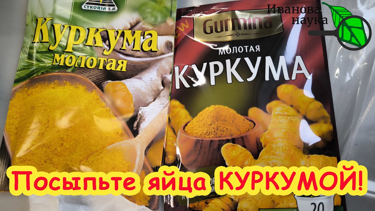 Посыпьте куркуму на яйца и они покраснеют: домашняя проверка куркумы. Фальсификация куркумы.