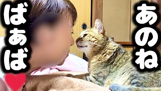大好きなバァバにずっとくっ付いて離れない元野良猫が可愛すぎる♡