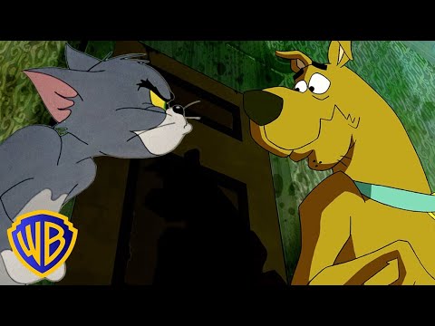 Tom & Jerry | Scooby-Doo! po Polsku 🇵🇱  | KOTY KONTRA PSY! 🐱🐶  | @WBKidsInternational ​