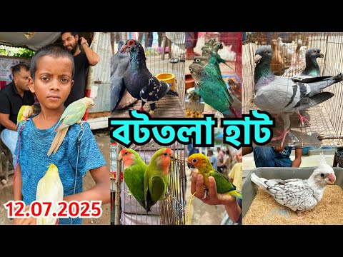 বিদেশী পাখির থেকে দেশী পাখির চাহিদা বেশি | বটতলা হাট | প্রতি শনিবার | Bottola Pet Market, Mirpur#807