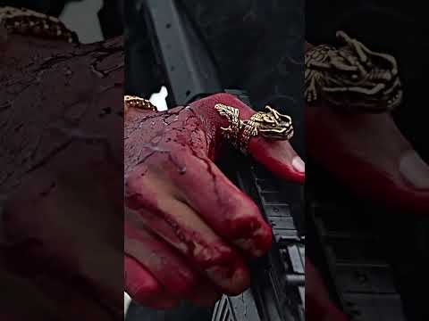 GANGSTER NAHI MONSTER
