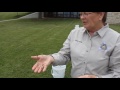 Hydrilla Spread and Identification