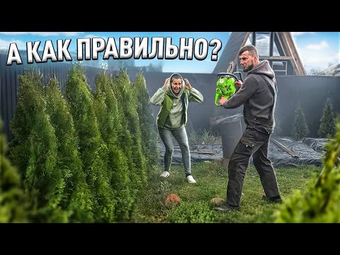 РАЗОБРАЛИ туи НА ЧЕРЕНКИ!!! А сарай-то у нас резиновый! БЫЛ)