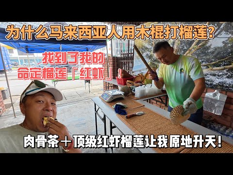为什么马来西亚人用木棍打榴莲?找到了我的命定榴莲【红虾】！肉骨茶+顶级红虾榴莲让我原地升天！感谢您一路的支持【Sean的世界TV】频道，欢迎加入我的会员频道，谢谢您一路的陪伴！
