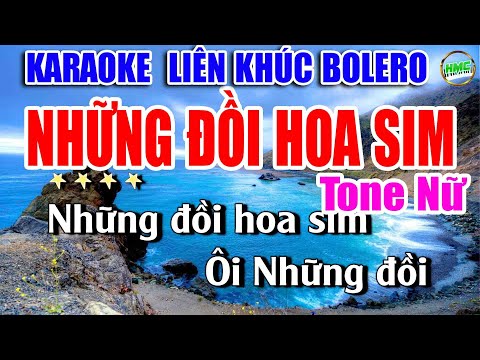 Karaoke Liên Khúc Nhạc Trữ Tình Tone Nữ Dễ Hát | Nhạc Xưa BOLERO Bất Hủ | NHỮNG ĐỒI HOA SIM