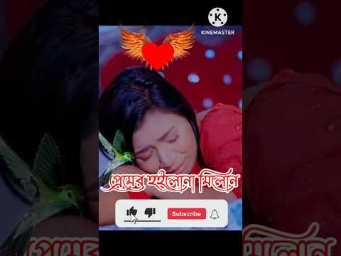 প্রেমের হইলো না মিলন🔥শিমুল হাসান & মরিয়ম 🔥Premer Hoilo Na Milon🔥Shimul Hasan & Moriom
