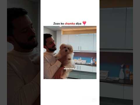 Zozo ko chamka diya ❣️#rajabfamily #rajatvlogs #viral #shorts