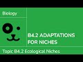 Adaptations and Niches in Ecology