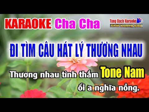 ĐI TÌM CÂU HÁT LÝ THƯƠNG NHAU || Karaoke Cha Cha – Tone Nam – Nhạc Sống Tùng Bách