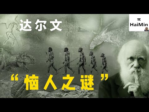 地球上最早的花｜被子植物｜地球簡史系列43｜海民大叔 - YouTube(5:38)