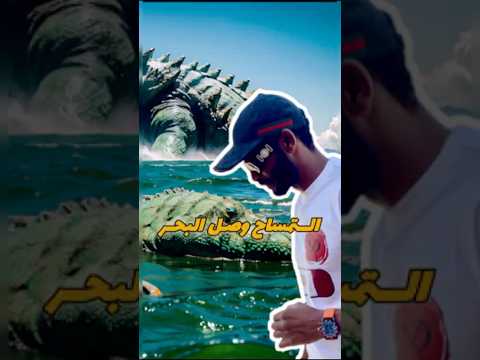 التمساح وصل البحر #modrar