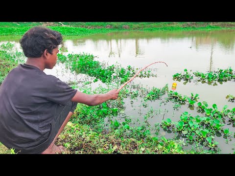 Fishing Video || The village  boy spends the whole day fishing from the canal || Hook fishing