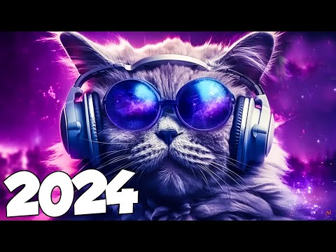 AS ELETRÔNICAS MAIS TOCADAS DE 2024 ⚡️ MÚSICAS ELETRÔNICAS ⚡️ NA BALADA ⚡️ALOK, DAVID GUETTA MIX