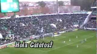 Real Betis - Real Madrid - Cantos aficion