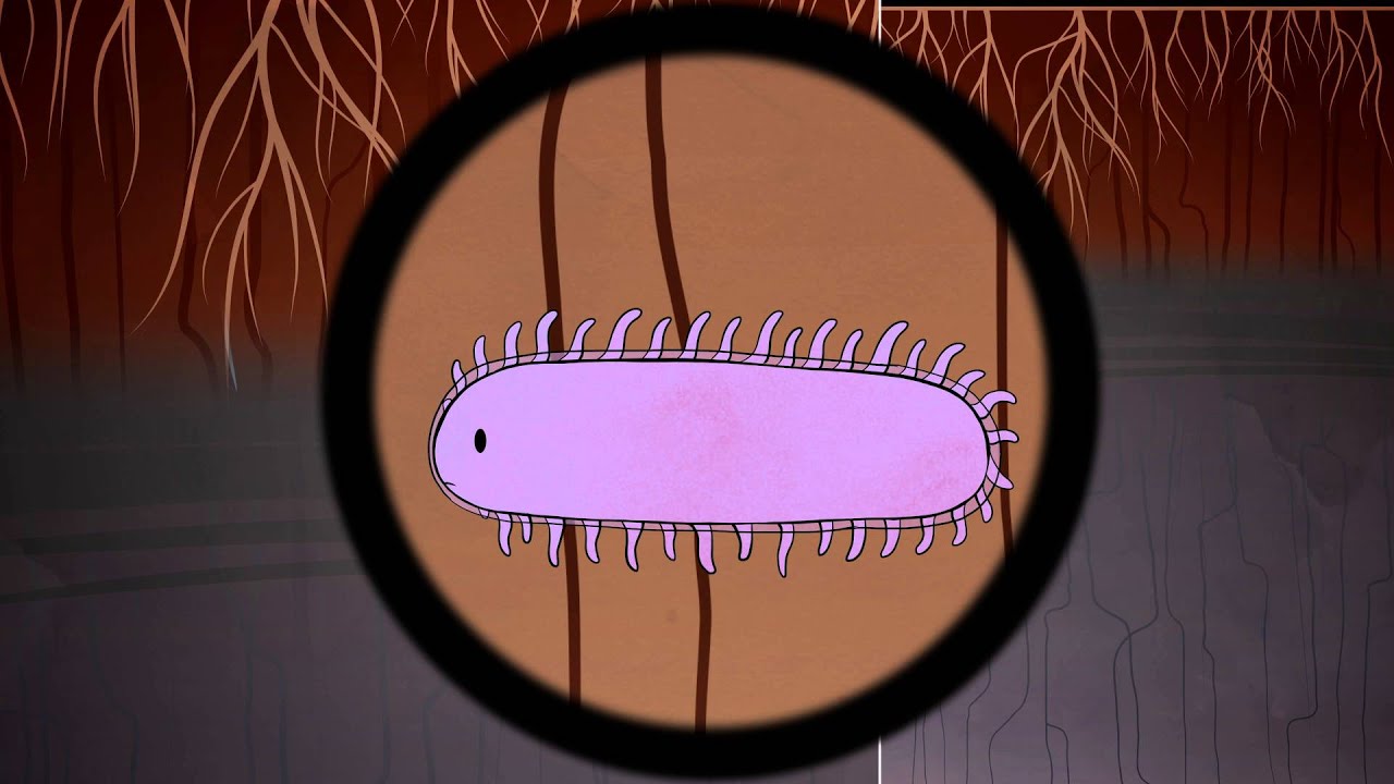 The Hidden Perils of Permafrost