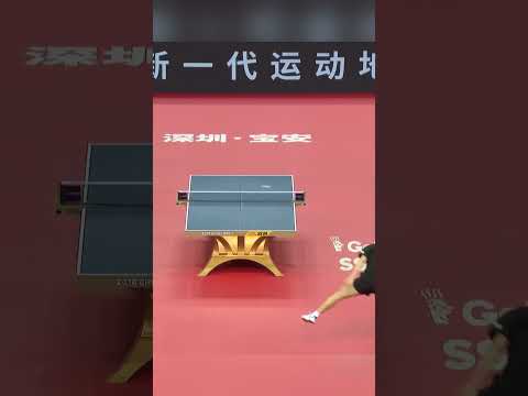 Timo Boll is Legend😍😍😍 #timoboll #tabletennis #pingpong #wtt #ittf #shorts