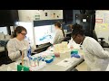 Pharmacy Roles and Responsibilities