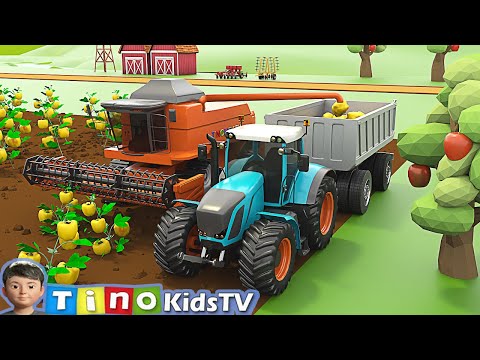 Tractor & Combine Harvester for Kids Planting Bell pepper | Farm Trucks for Children