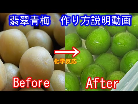 【青梅レシピ】和食の翡翠青梅　青梅煮　失敗しない作り方とコツ　緑色の戻し方