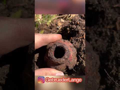 Handgranate im Wald gefunden 😲 (#Metalldetektor)