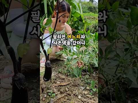 필리핀 며느리와 사돈댁을 갔더니 충격적인 일이 벌어졌습니다.