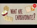 The Impact of Carbohydrates on Health