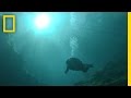 Environmental Changes in Springs