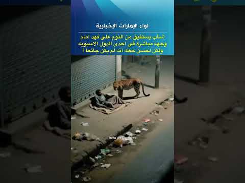 استيقظ من النوم امام وجهه الاسد 😱😳لاتنسون الاشتراك بالقناة ولايك فديتكم يااحلى متابعي🌹❤️🔔»...