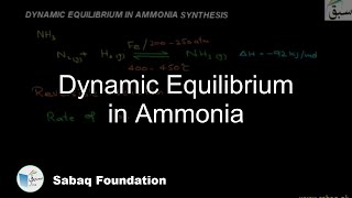 Dynamic Equilibrium in Ammonia