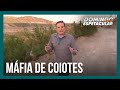Motivações e Desafios da Imigração