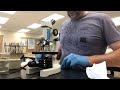 Iodine Staining in Onion Cells