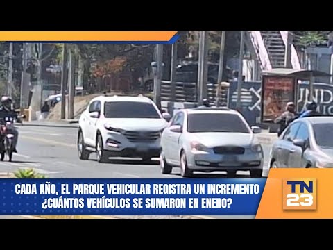 Cada año, el parque vehicular registra un incremento ¿Cuántos vehículos se sumaron en enero?