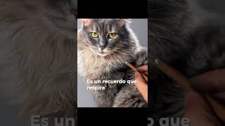 Perdí a mi mejor amigo #culturaanimal #pets #mascotas