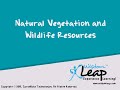 Roles of Organisms in Ecosystems