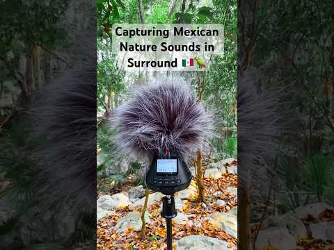 Behind the Scenes: Recording Nature Surround Sound in Mexico