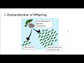 Evolutionary Mechanisms and Concepts