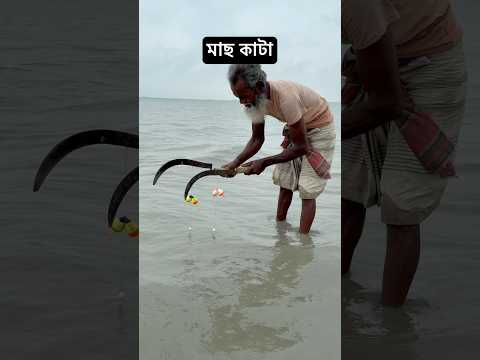 Hook Fishing Method in Padma river 2 #fishing #bait #youtubeshorts