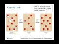 Genetic Diversity and Evolution Concepts