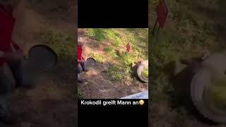 Krokodil greift Mann an😳🤣 #risk #glück #Krokodil