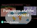 Malaria and Disease Spread Concepts