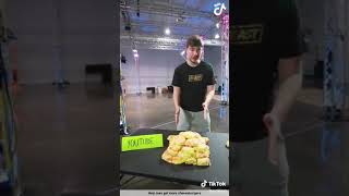 MrBeast TikTok MrBeast Asking People To Follow Him on TikTok