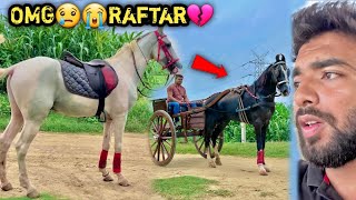 PRAY 🙏🏻 FOR RAFAR💔 FARM PR VAPA$ AAT€ HI Y€ KYA DEKHN€ K0 M!L GYA 😭