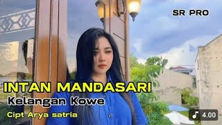 DANGDUT BANYUWANGI VIRAL - INTAN MANDASARI TERBARU. AUDIO JERNIH 