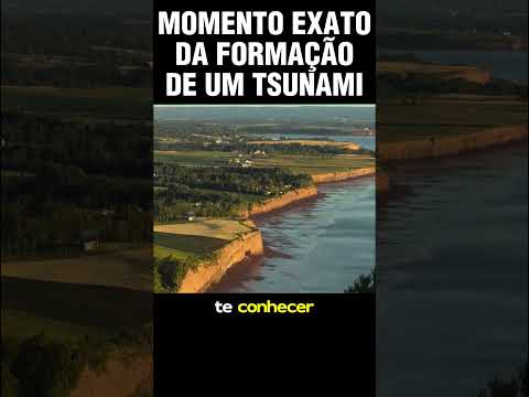 MOMENTO EXATO DE UM TSUNAI