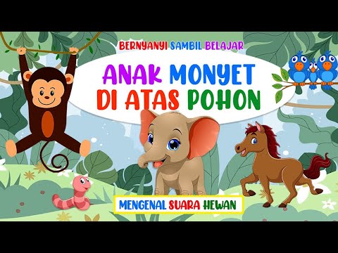 Bernyanyi Sambil Belajar - Anak Monyet Di Atas Pohon (Mengenal Suara Hewan)