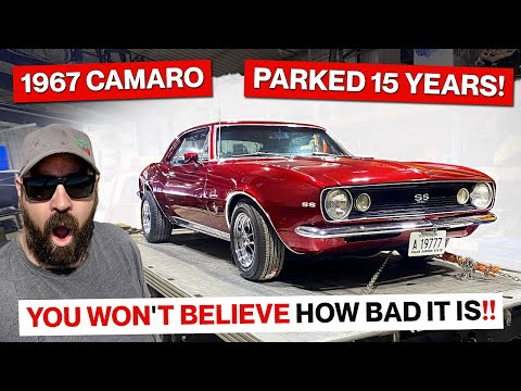 1967 Chevrolet Camaro! 4 Speed Revival!